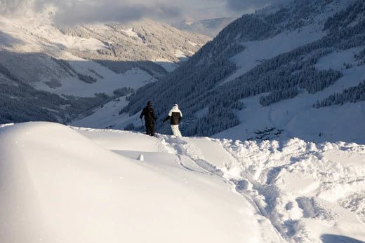 De Alpen door de eeuwen heen: een gedetailleerde reis door hun interessante geschiedenis - World of Alps Store