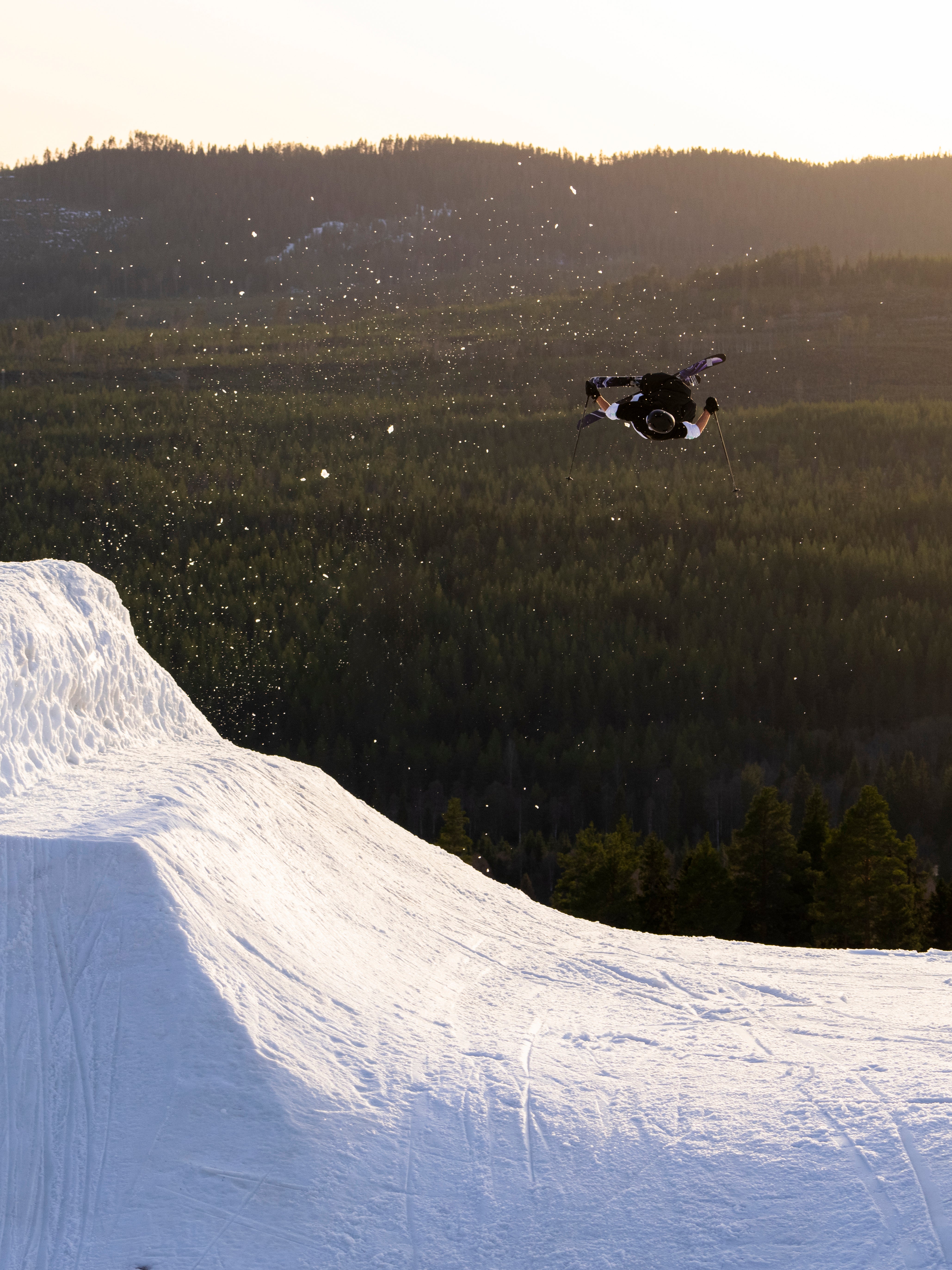 ARMADA - ARV 94 - Men's Skis